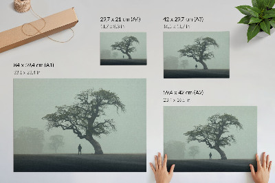 Väggposter Ensamt träd dimma mörk silhuett atmosfär