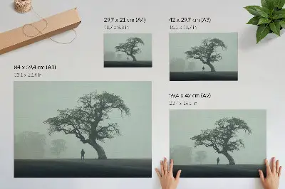 Väggposter med motiv av ett ensamt träd i dimmig atmosfär med mörk silhuett