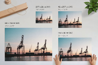 Poster Kranar i hamnen vid solnedgången