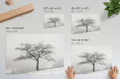 Poster ensamt träd i vinterlandskap med minimalistisk harmoni