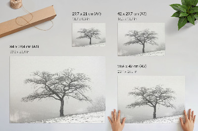 Poster Ensamt träd vinterfred minimalism harmoni