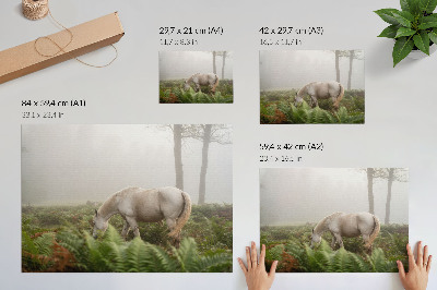 Poster En häst mot en bakgrund av ormbunkar i en dimmig skog