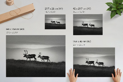 Poster Renar på en kulle minimalistisk komposition