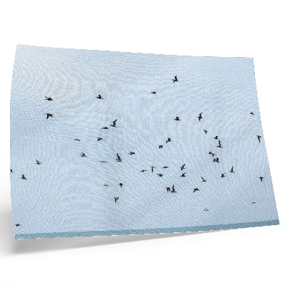 Poster till sovrum En flock fåglar över det blå havet