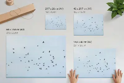 En flock fåglar över det blå havet poster till sovrum