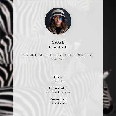 Poster till sovrum En flock fåglar över det blå havet