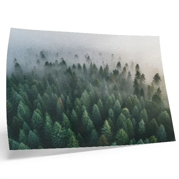 Poster till sovrum grön skog i dimma med atmosfärisk och mystisk känsla