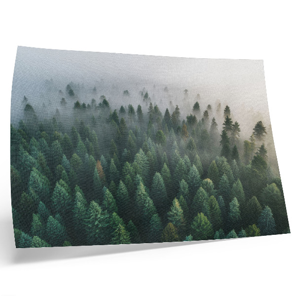 Poster till sovrum Grön skog i dimman, atmosfärisk och mystisk