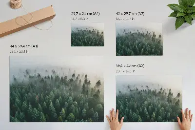 Poster till sovrum grön skog i dimma med atmosfärisk och mystisk känsla