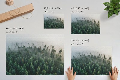 Poster till sovrum Grön skog i dimman, atmosfärisk och mystisk