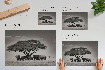 Väggposter Elefanter under ett träd i den afrikanska savannen