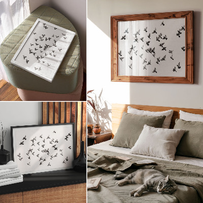 Poster Fåglar i flykt Eleganta svartvita harmonier
