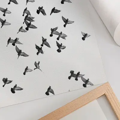 Poster fåglar i flykt med eleganta svartvita harmonier