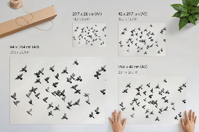 Poster Fåglar i flykt Eleganta svartvita harmonier