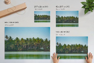 Stilren väggposter Tropiska palmer, lugnt vatten, harmonisk himmel