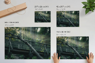 Väggposter En träbro bland grönska och solljus
