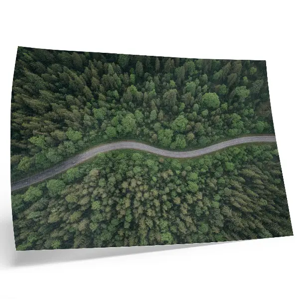 Poster Grön skogsväg med lugn atmosfär för sovrum