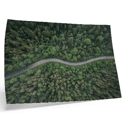 Poster Grön skogsväg med lugn atmosfär för sovrum