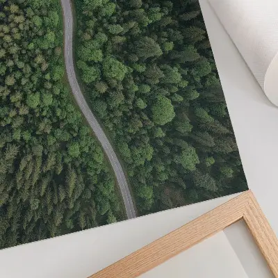 Poster Grön skogsväg med lugn atmosfär för sovrum