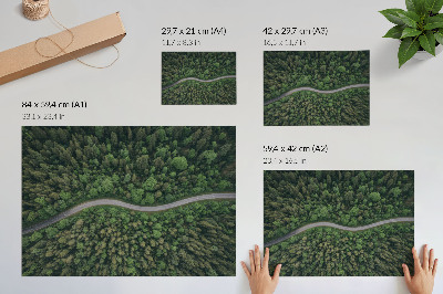 Poster till sovrum Grön skogsslingrande väg lugn atmosfär