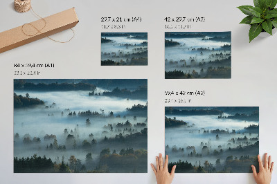 Stilren väggposter Gröna träd i dimman, fridfull atmosfär, dämpade färger