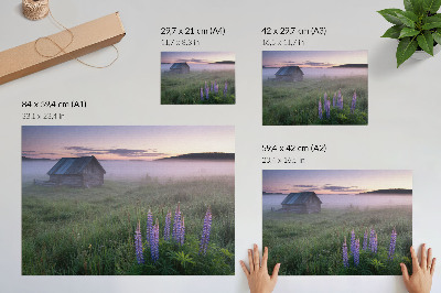 Poster till sovrum Trästuga pittoresk dimma blommor natur