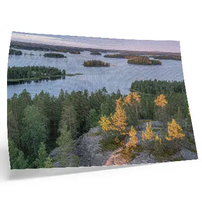 Väggposter tallskog vid sjö med pastellfärgad himmel
