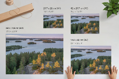 Väggposter Tallskog ö sjö pastell himmel