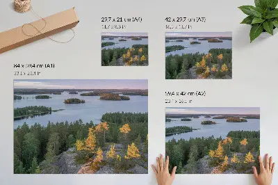 Väggposter tallskog vid sjö med pastellfärgad himmel