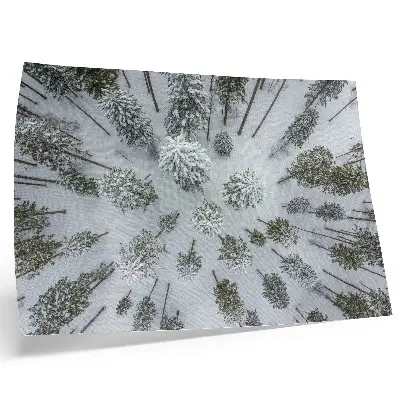 Väggposter Vinterskog stilren och minimalistisk poster med naturmotiv