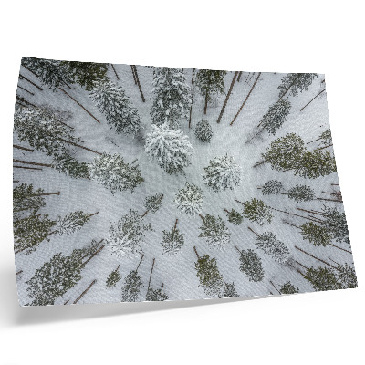 Stilren väggposter Vinterskog fred minimalism naturlighet