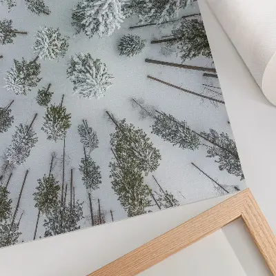 Väggposter Vinterskog stilren och minimalistisk poster med naturmotiv