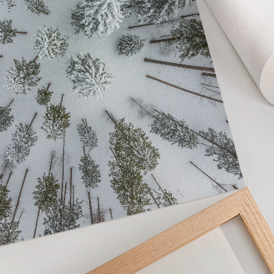 Stilren väggposter Vinterskog fred minimalism naturlighet
