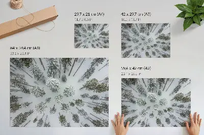 Väggposter Vinterskog stilren och minimalistisk poster med naturmotiv