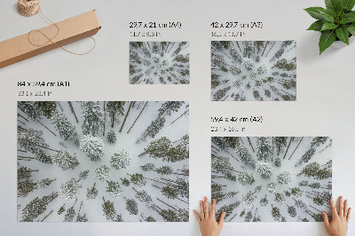 Stilren väggposter Vinterskog fred minimalism naturlighet