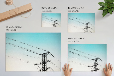 Väggposter Fåglar på kraftledningar blå himmel