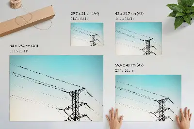 Väggposter fåglar på kraftledningar mot en blå himmel