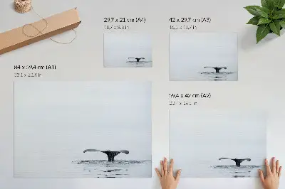 Väggposter Valsvans minimalistiskt motiv av valsvans ovanför vatten i harmonisk stil
