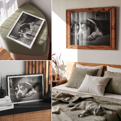 Poster Bedårande hund som sover på en kudde