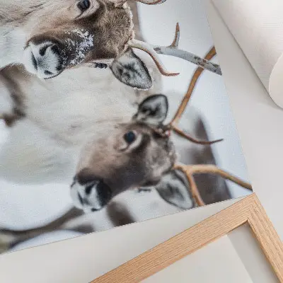 Poster med vinterlandskap renar med naturliga horn i harmoniskt vinterlandskap