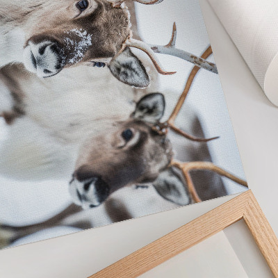 Poster till sovrum Renar med naturliga horn vinterlandskap harmoni