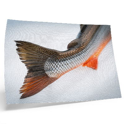 Väggposter Naturliga skalor och dynamiska färger i närbild