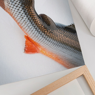 Väggposter Naturliga skalor och dynamiska färger i närbild
