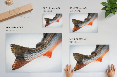 Väggposter Naturliga skalor och dynamiska färger i närbild