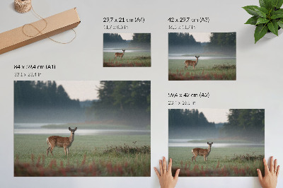 Poster Hjort mot bakgrund av dimmiga ängar och skog