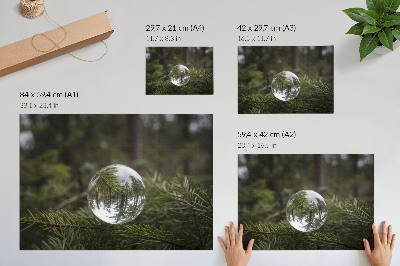 Poster till sovrum En kristallkula mot en tallgrenbakgrund