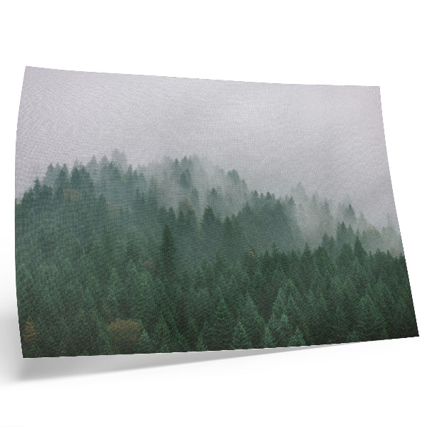 Poster till sovrum Ett dimmigt panorama över skogen full av grönt och grått