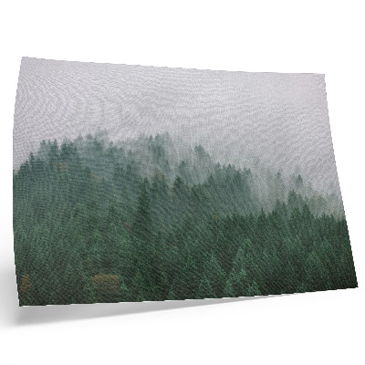 Poster till sovrum Ett dimmigt panorama över skogen full av grönt och grått