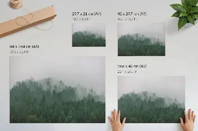 Poster till sovrum dimmigt skogspanorama i gröna och gråa toner
