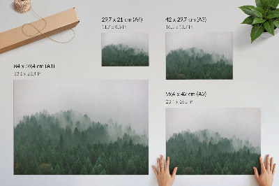 Poster till sovrum Ett dimmigt panorama över skogen full av grönt och grått